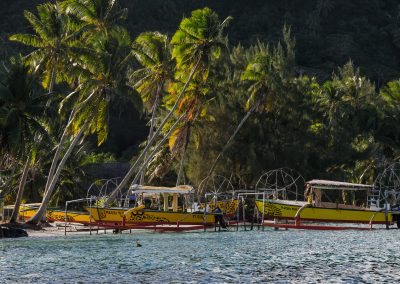 Barcos típicos