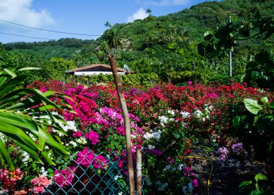 Jardins de Bora Bora