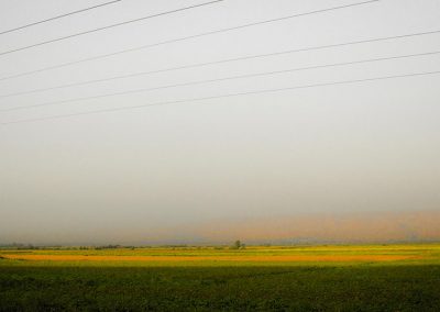 Atividade Agrícola em kibutz