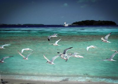 losroques-0152