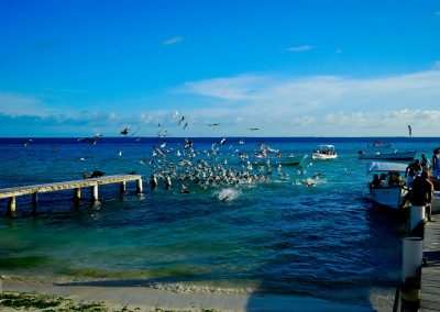 losroques-0223