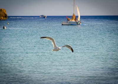 Cala Trebalúger